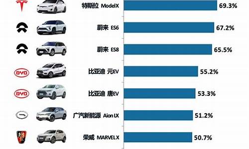 新能源汽车品牌排名,新能源汽车品牌排名榜