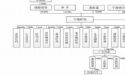 比亚迪集团组织架构_比亚迪集团组织架构及职责