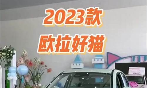 欧拉好猫售后能换车吗-欧拉好猫2021款4s店